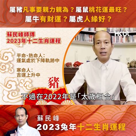 2023 財位 蘇民峰|兔年2023運程｜蘇民峰十二生肖財運＋催財秘笈（豬 